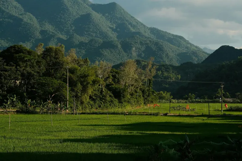 Rice fields and stilt houses in the Mai Chau valley under green mountains