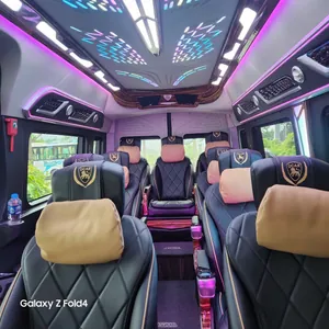 VIP Limousine interior detail